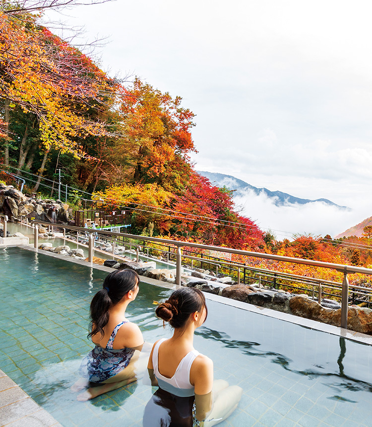 If it's Hakone Hot Springs then it's got to be Hakone Kowaki-en YUNESSUN